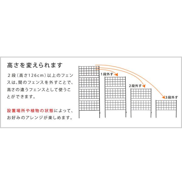 アイアンフェンス 仕切り シンプル ガーデニング 庭 園芸 おしゃれ 装飾 玄関 埋め込み 差し込み 【納期B】【sms-if-gr023-1p】