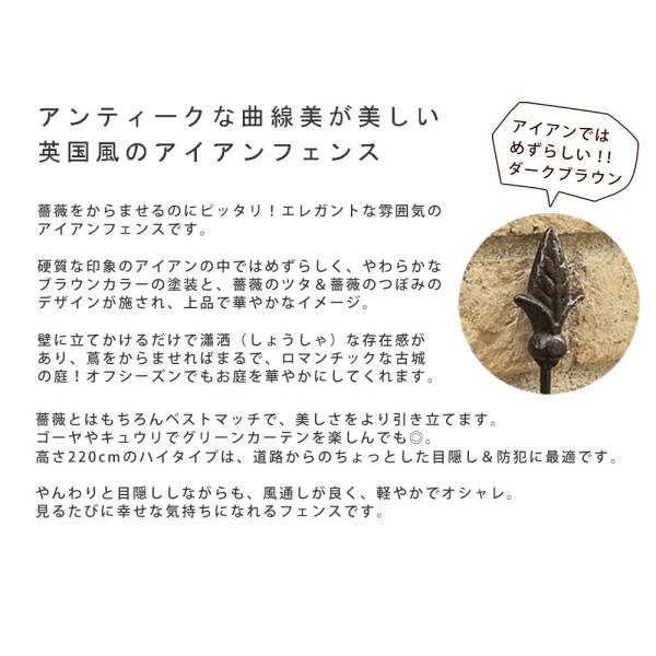 フェンス ヨーロピアン 枠 柵 ガーデンフェンス 家庭用 おしゃれ 庭 玄関 diy 埋める 埋め込み 差し込み 差す アンティーク 北欧 ヨーロッパ 2枚セット 【納期B】【sms-ifrose-220-2p】