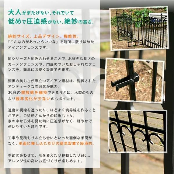 木製のもにより経年劣化が少ないアイアン製フェンス