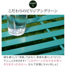 ガーデンテーブル 折り畳み 折りたたみ ローテーブル 屋外 庭 センターテーブル リビング 緑 グリーン おしゃれ 北欧 デザイン 幅 1m 100cm キャンプ アウトドア 【納期B】【sms-spl-9003】