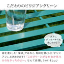 ガーデンテーブル セット ローテーブル 折り畳み 折りたたみ ベンチ 屋外 庭 ガーデンベンチ 緑 グリーン おしゃれ 北欧 デザイン 幅 1m サイズ 100cm 背もたれ 【納期B】【sms-spl-9003b-2ps】