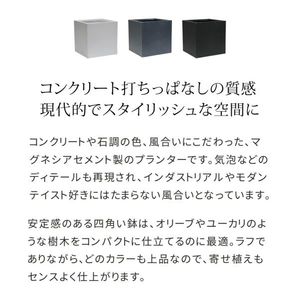 プランター 正方形 立方体 50×50cm 植木鉢 コンクリート モダン おしゃれ 屋外 都会 セメント 鉢カバー 直植え 水抜き穴 花 ガーデニング 庭 ベランダ 玄関 【納期B】【sms-tex-500c】
