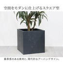 プランター 正方形 立方体 50×50cm 植木鉢 コンクリート モダン おしゃれ 屋外 都会 セメント 鉢カバー 直植え 水抜き穴 花 ガーデニング 庭 ベランダ 玄関 【納期B】【sms-tex-500c】
