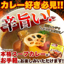 スープカレー 辛口 具入り 骨付きチキン 鳥肉 鶏肉 玉葱 玉ねぎ じゃがいも にんじん 北海道 富良野 電子レンジ 温めるだけ 2袋セット 【納期E】【snc00010140】