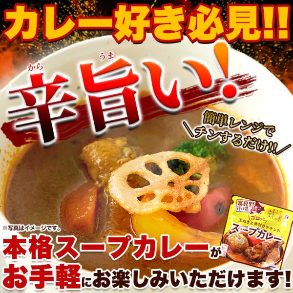 スープカレー 辛口 具入り 骨付きチキン 鳥肉 鶏肉 玉葱 玉ねぎ じゃがいも にんじん 北海道 富良野 電子レンジ 温めるだけ 2袋セット 【納期E】【snc00010140】