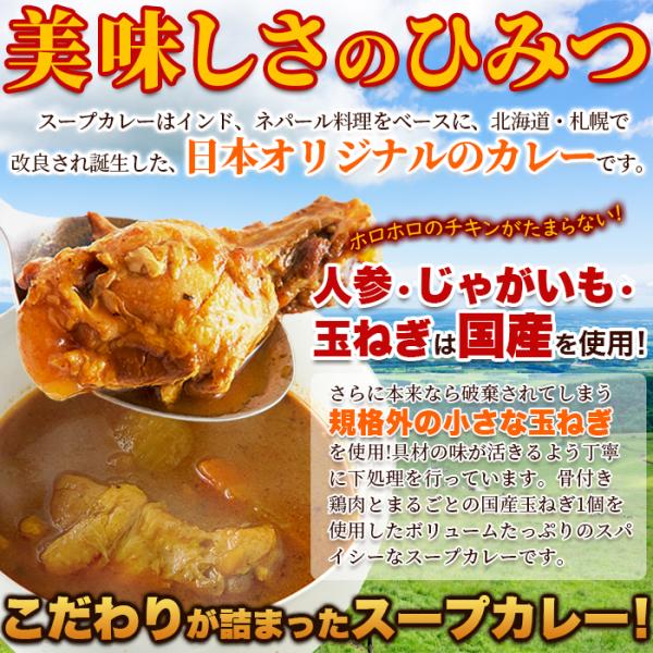 スープカレー 辛口 具入り 骨付きチキン 鳥肉 鶏肉 玉葱 玉ねぎ じゃがいも にんじん 北海道 富良野 電子レンジ 温めるだけ 2袋セット 【納期E】【snc00010140】