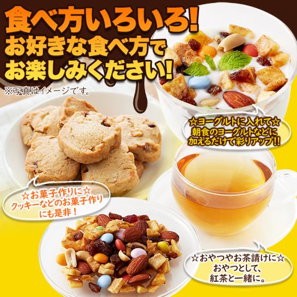 ミックスナッツ チョコレート バナナ アーモンド ピーナッツ クランベリー レーズン トレイルミックス おやつ おつまみ 茶請け ナッツフル 【納期E】【snc00010161】