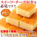 チーズケーキ 一口サイズ ひとくち ケーキ 国産 パルメザンチーズ おかし スイーツ 洋菓子 おやつ ふわふわ カット済み 食べやすい 【納期E】【snc00010164】