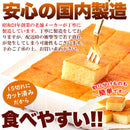 チーズケーキ 一口サイズ ひとくち ケーキ 国産 パルメザンチーズ おかし スイーツ 洋菓子 おやつ ふわふわ カット済み 食べやすい 【納期E】【snc00010164】