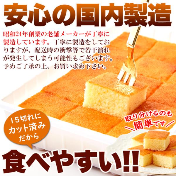 チーズケーキ 一口サイズ ひとくち ケーキ 国産 パルメザンチーズ おかし スイーツ 洋菓子 おやつ ふわふわ カット済み 食べやすい 【納期E】【snc00010164】