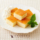 チーズケーキ 一口サイズ ひとくち ケーキ 国産 パルメザンチーズ おかし スイーツ 洋菓子 おやつ ふわふわ カット済み 食べやすい 【納期E】【snc00010164】