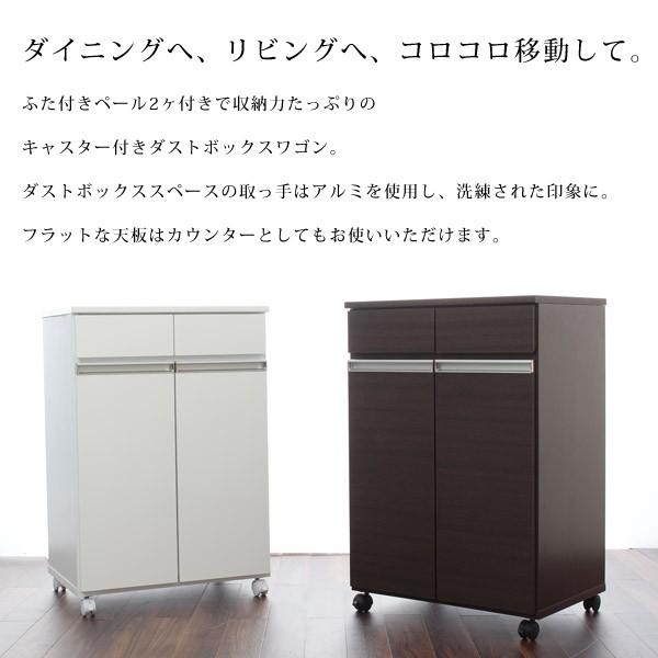 収納ワゴン キャスター付き ダストボックス ワゴン 分別 ごみ箱 【納期E】【stz-ku23705-2d】