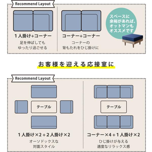 NEO フレキシブルソファ 2P 【li81152bl】