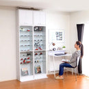 コレクションケース 上置きセット ハイタイプ 大型 コレクションラック ボックス コレクションボード 棚 深型 収納 フィギュアケース フィギュア棚 飾る 見せる 【納期A】【szo-clr-d-485set】