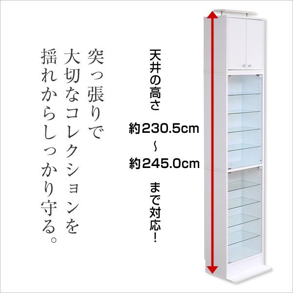 コレクションケース 上置きセット ハイタイプ 大型 コレクションラック ボックス コレクションボード 棚 深型 収納 フィギュアケース フィギュア棚 飾る 見せる 【納期A】【szo-clr-d-485set】