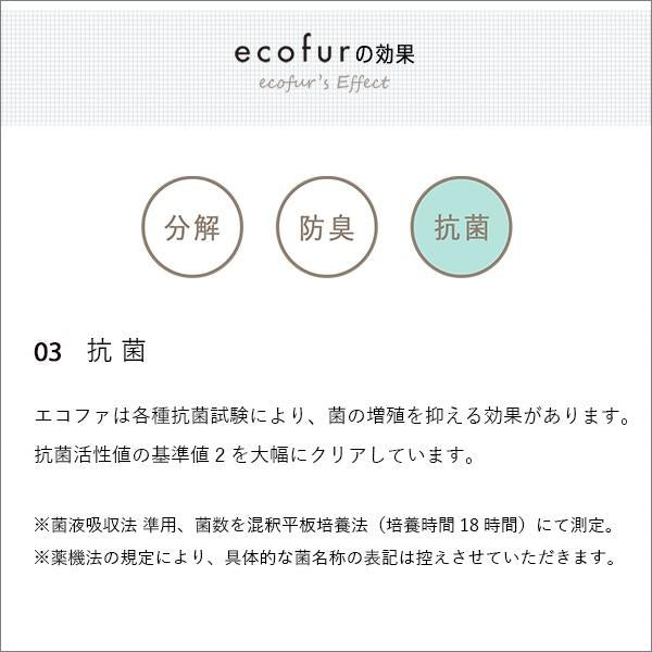シックハウス症候群 対策 スプレー 防臭 抗菌 長時間効果持続 ホルムアルデヒド分解 光触媒 ミスト 【納期E】【szo-ecofur-300】