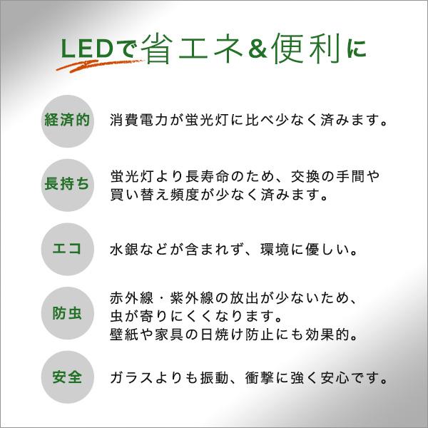 サークルランプ LED 電球 40W型 昼光色 アタッチメント不要 長寿命 長持ち 広範囲 グロー式 インバータ式 共通 省エネ エコ AC直結 工事不要 そのまま 交換可能 【納期E】【szo-edc-r40】