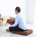 座椅子 TVゲーム用 テレビゲーム いす 使いやすい ゲーム座椅子 ひじ置き 肘掛け 正座 リクライニング 読書 パソコン作業 【納期E】【szo-sh-06-rcn】