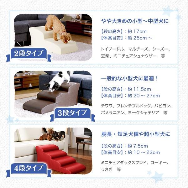 犬用階段 2段タイプ