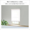 ロールスクリーン つっぱり式 突っ張り式 マンション 対応 原状復帰 回復 ロールアップカーテン 無地 オシャレ 間仕切り 目隠し プルコード 幅 60cm 高さ 135cm 【納期E】【szo-sh-16-h60】