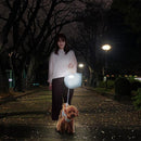 ライト 充電式 防水 キャンプ アウトドア 屋外 カラビナ フック 照明 懐中電灯 マグネット 磁石 車内 点滅 明るい 軽い 軽量 小型 小さい 持ち運び コンパクト 【納期E】【szo-sh-17-ml14】