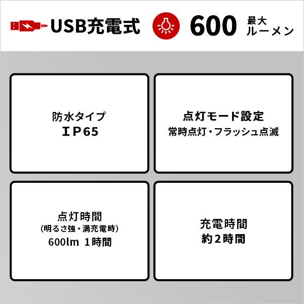 ライト 充電式 防水 キャンプ アウトドア 屋外 カラビナ フック 照明 懐中電灯 マグネット 磁石 車内 点滅 明るい 軽い 軽量 小型 小さい 持ち運び コンパクト 【納期E】【szo-sh-17-ml14】