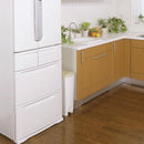 ゴミ箱 スリム フタ付き 25L 【納期A】【toh-184696】