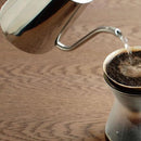 ケトル ステンレス 900ml やかん オシャレ カフェケトル コーヒードリップ用 直火 ガス 対応 【納期A】【toh-245130】