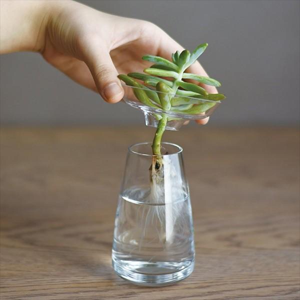 花器 200ml 小 ガラス おしゃれ 生け花 ガラス花器 ヒヤシンス 球根類 アボカド サボテン 花瓶 【納期A】【toh-251190】