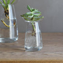 花器 200ml 小 ガラス おしゃれ 生け花 ガラス花器 ヒヤシンス 球根類 アボカド サボテン 花瓶 【納期A】【toh-251190】