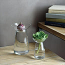 花器 830ml 大 ガラス花器 サボテン 花瓶 ガラス 生け花 ヒヤシンス 球根類 アボカド 【納期A】【toh-251191】