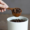 コーヒーメジャースプーン 豆 すくう 珈琲スプーン メジャー 計量 【納期A】【toh-254531】