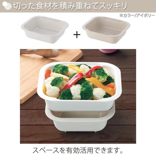 コランダー バット ざる 長方形 Lサイズ 水切り 電子レンジ対応 蓋つき 受け皿 省スペース コンパクト 銀イオン加工 抗菌 日本製 【納期A】【toh-258496】