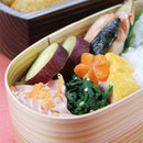 わっぱ 弁当箱 日本製 国産 ランチボックス 和風 木 木目 板目 【納期A】【toh-262811】
