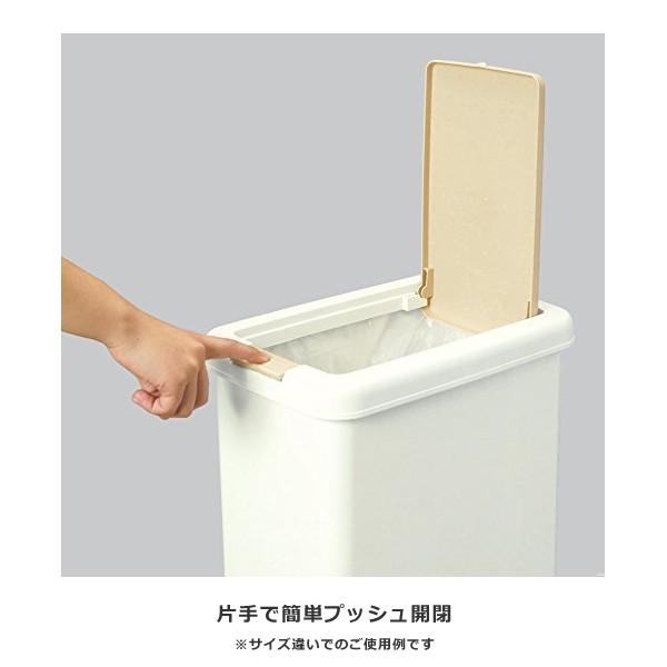 ゴミ箱 分別 蓋つき スリム キッチン おしゃれな 【納期A】【toh-266926】