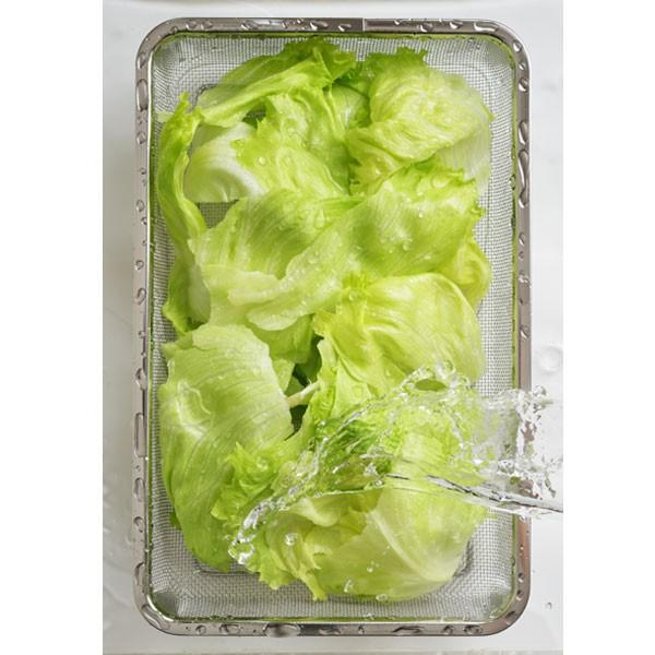 ザル ステンレス 大きい 金属 食品 キッチンツール 【納期A】【toh-267316】