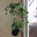 ハンギングポット 鉢 壁掛け 植木鉢 プランター おしゃれ ウォールラック 【納期A】【toh-267763】