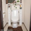 トイレ 収納 棚 引き出し 2段 スリム おしゃれ 小さい ミニ 小型 引出し 扉付き 二段 北欧 かわいい 生理用品 小物収納 トイレ用品 備品 収納棚 【納期A】【toh-270569】