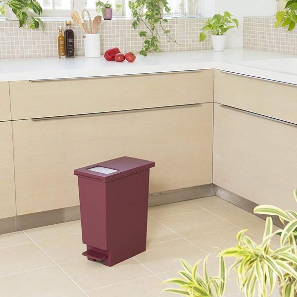 ゴミ箱 45リットル おしゃれ スリム キッチン 45l ごみ箱 フタ付き 蓋つき ペダル式 分別 棚下 カウンター下 大容量 オシャレ シンプル 2way プッシュ式 ふた 【納期A】【toh-270802】