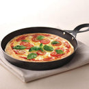 グリルパン ピザ用 鉄製 プレート 魚焼き器対応 石窯風ピザ作り IH ガス 直火 【納期A】【toh-276670】