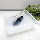 洗剤 靴用 スニーカー 上履き 漬け置き 洗浄剤 除菌 漂白 消臭 【納期A】【toh-277089】