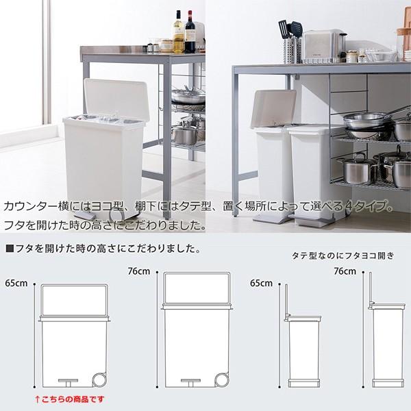 ゴミ箱 分別 おしゃれ キッチン 横型 ワイド キャスター付き リビング 25L 【納期A】【toh-279124】