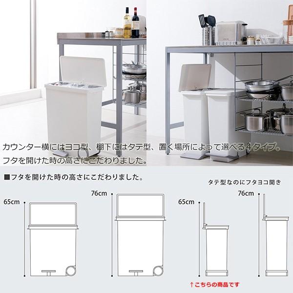 ゴミ箱 スリム 25L おしゃれ キッチン リビング 【納期A】【toh-279126】