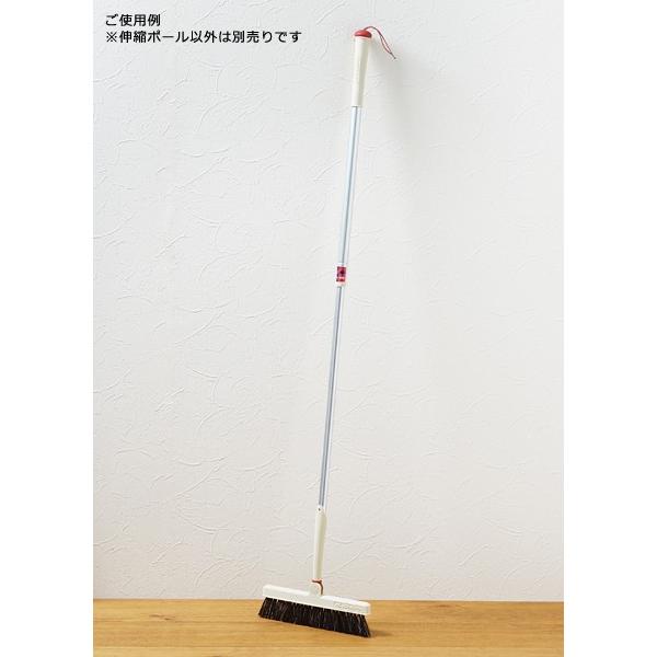 伸縮ポール SCHALTEN シャルテン 伸縮棒 掃除用具 【納期A】【toh-281177】