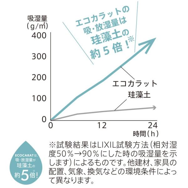 ボトル乾燥スティック エコカラット 吸水 水筒 ボトル マグ コップ 乾燥 水切り 乾かす 吸湿性 放湿性 調湿材 LIXIL 多孔質セラミックス 【納期A】【toh-284347】