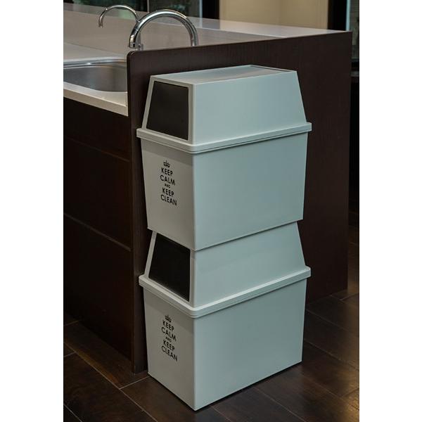 ゴミ箱 30リットル おしゃれな キッチン フタつき スリム 30L 【納期A】【toh-285588】