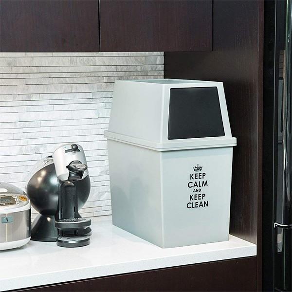 ゴミ箱 30リットル おしゃれな キッチン フタつき スリム 30L 【納期A】【toh-285588】