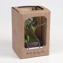 盆栽 苔 人工 観葉植物 インテリア リアル 消臭 抗菌 ミニ 小型 和 【納期A】【toh-288808】