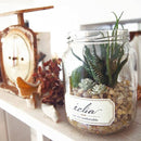 多肉植物 サボテン インテリア フェイクグリーン 観葉植物 CT触媒 消臭 防汚 抗菌 造木 小型 瓶 【納期A】【toh-289100】