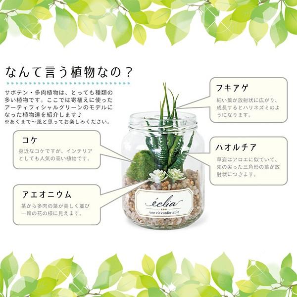 多肉植物 サボテン インテリア フェイクグリーン 観葉植物 CT触媒 消臭 防汚 抗菌 造木 小型 瓶 【納期A】【toh-289100】